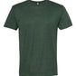 Next Level - Triblend T-Shirt - 6010